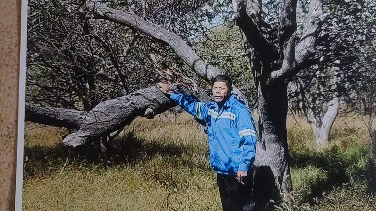 微信图片_20260514153109_192_348.jpg