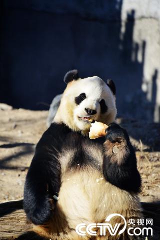 76ad744e0ab502e3b8e1cc5f19c1593a_PHOT21BgCLoLcdKdqPqw7iL6250225_320x320.jpg